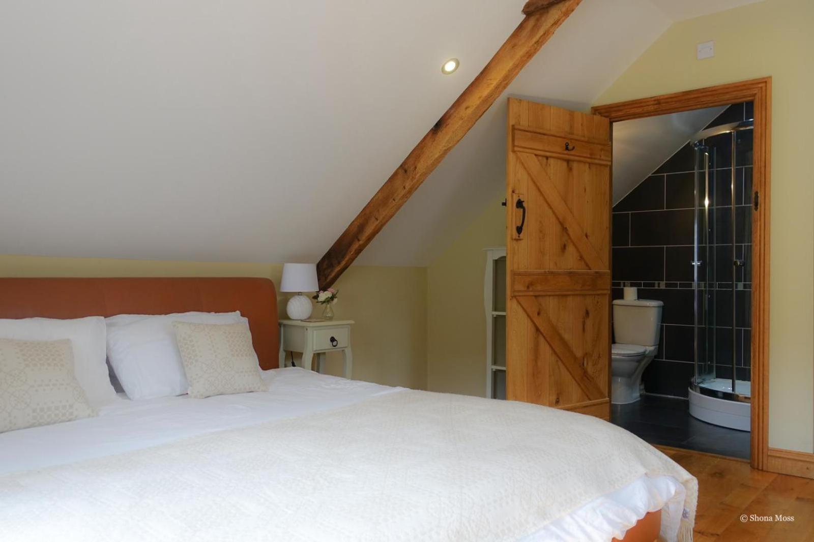 Вилла Rhiwddu Barns Llangadog Номер фото
